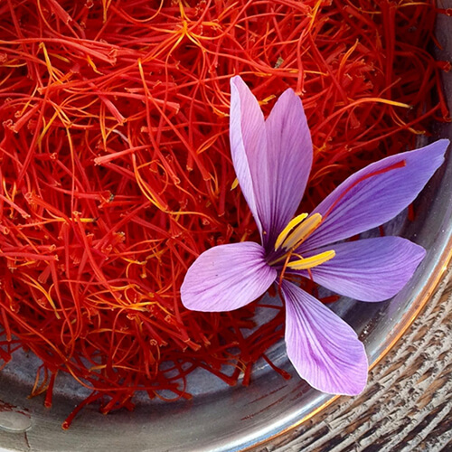 Kumkumadi Oil Saffron